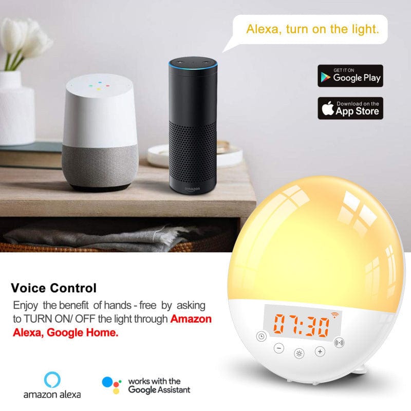 WiFi Voice Control Intelligent Alarm Clock
